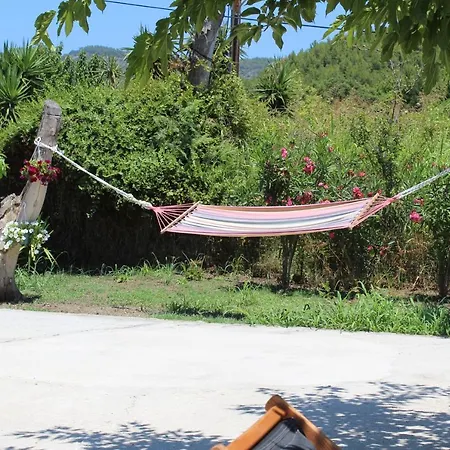 Anastazia Paradise Κολιός