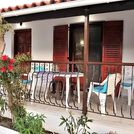 Anastazia Paradise Колиос