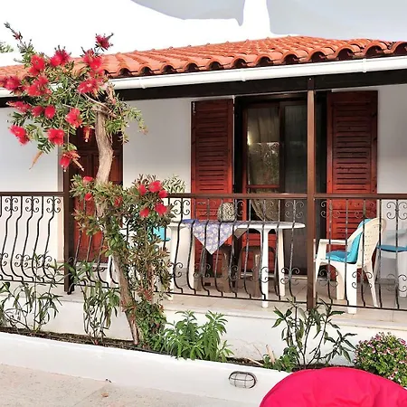 Anastazia Paradise Колиос