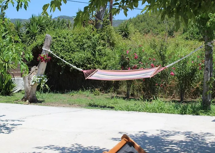 Anastazia Paradise Kolios