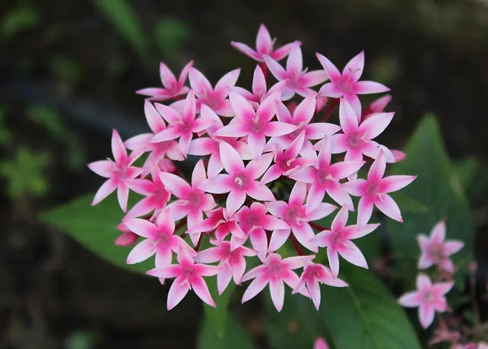 Casa vacanze Anastazia Paradise