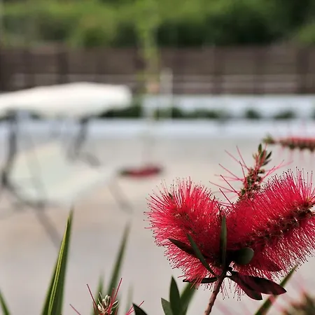 Anastazia Paradise